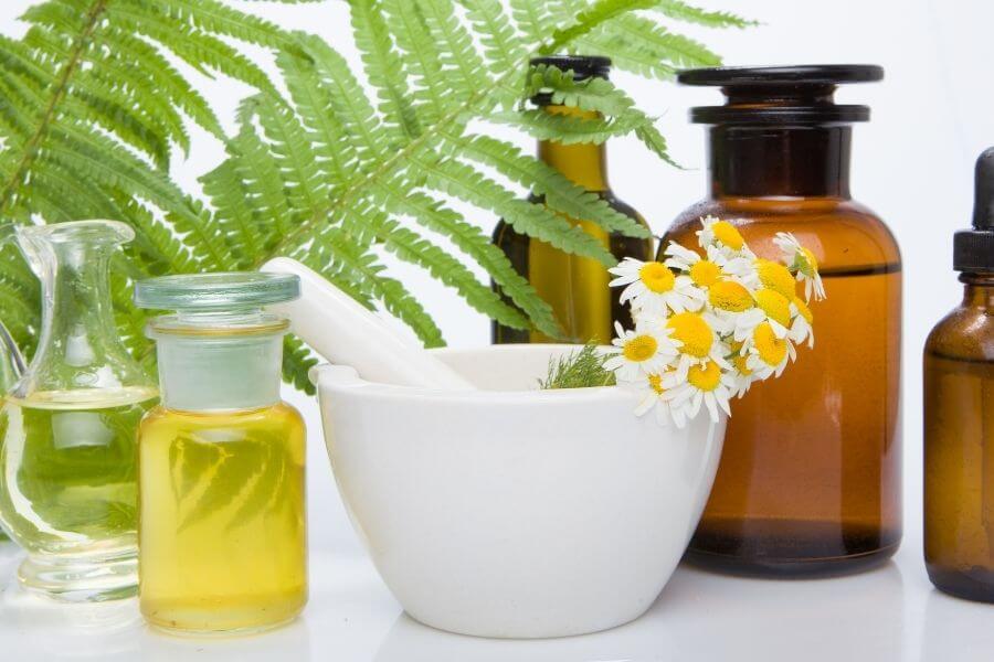 fitoterapia santa maria di sala